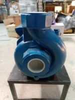 پمپ پنتاکس ایرانی دبی بالا 2 اینچ 2 اسب CS 200/2 - Image 7