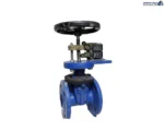 شیر کشویی چدنی میکروسوییچ‌دار 2 اینچ میراب فلنجی DN50